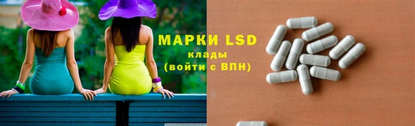 дживик Алагир