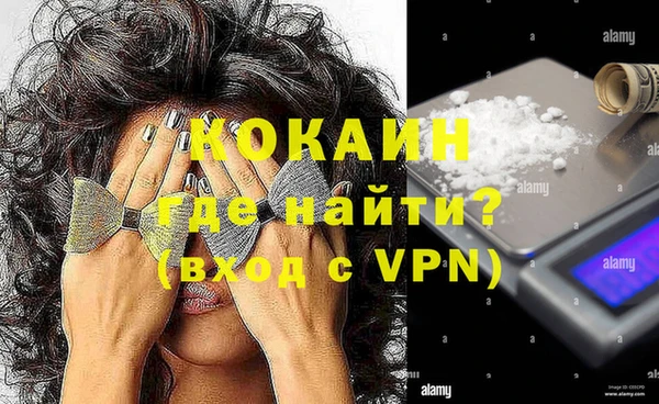 стафф Анжеро-Судженск