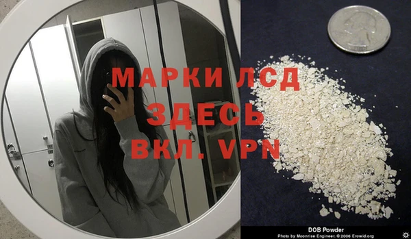 spice Анива