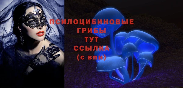 дживик Алагир