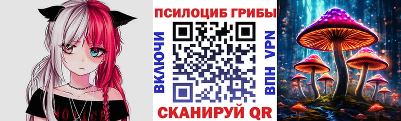 продажа наркотиков  Никольское  Псилоцибиновые грибы Magic Shrooms 